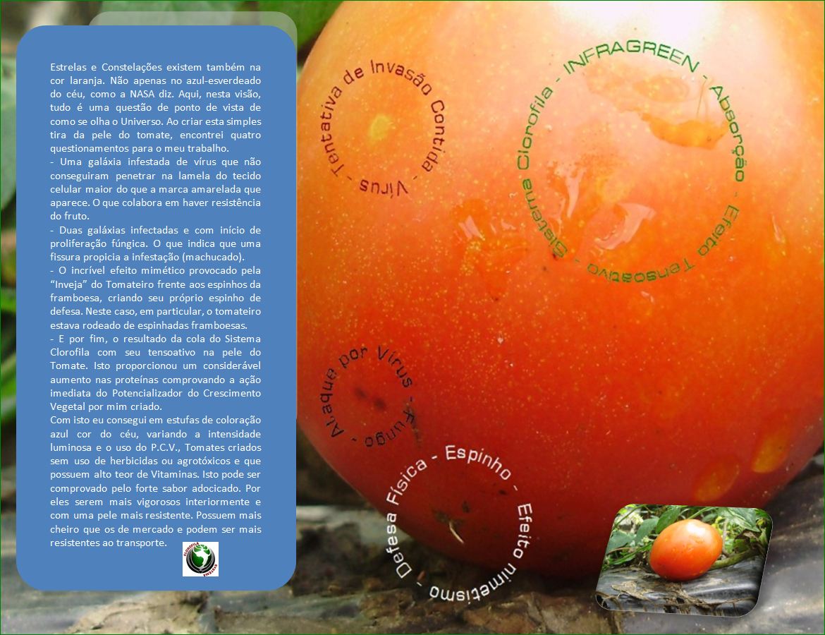 TOMATE CONVENCIONAL TRATADO COM MANYA - ST/CG/AM,PQR-RMCTBA-PR-BR,2013